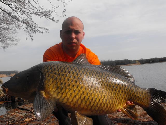 Diverse Partide - 11089751.jpg